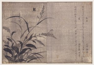 Kriketti ja tulikärpäset, 1788 (puupalikka) tekijältä Kitagawa Utamaro