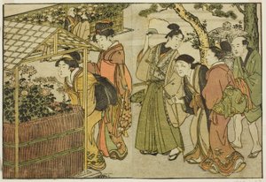 Krysanteemien näyttely kuvitetusta kirjasta "Kuvakirja: Neljän vuodenajan kukat (Ehon shiki no hana)," voi. 2 tekijältä Kitagawa Utamaro