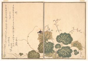  tekijältä Kitagawa Utamaro