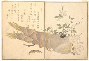 Maamyyräsirkka (Kera); pihtihäntäinen (Hasami-mushi), teoksesta Ryömivien olentojen kuvakirja (Ehon mushi erami)