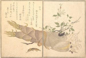 Mole Cricket Kera, Earwig, Hasami-mushi..., 1788. tekijältä Kitagawa Utamaro