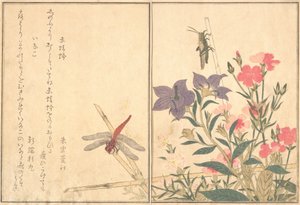 Red Dragonfly Akatonbo, Locust Inago..., 1788. tekijältä Kitagawa Utamaro