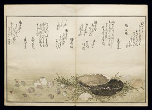 Shiohi no tsuto (lahjoja Ebb Tidesta), joka tunnetaan nimellä Shell Book, 1789 (värillinen puupainatus) tekijältä Kitagawa Utamaro