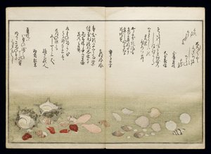 Shiohi no tsuto (lahjoja Ebb Tidesta), joka tunnetaan nimellä Shell Book, 1789 (värillinen puupainatus) tekijältä Kitagawa Utamaro