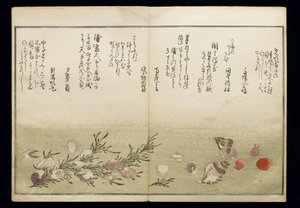 Shiohi no tsuto (lahjoja Ebb Tidesta), joka tunnetaan nimellä Shell Book, 1789 (värillinen puupainatus) tekijältä Kitagawa Utamaro