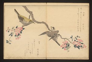 Tiainen ja pensashirvi tekijältä Kitagawa Utamaro