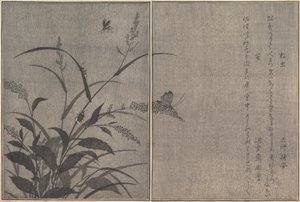 Puukriketti Matsumushi, Firefly Hotaru..., 1788. tekijältä Kitagawa Utamaro