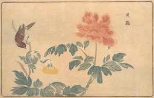 Kiinalainen oriole ja pionit, 1789.