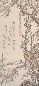 Luumupuu Blossomissa, 1700-luvun loppu - 1800-luvun alku. tekijältä Kitao Shigemasa