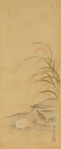 Viiriäinen ja hirssi, 1600-luvun loppu. tekijältä Kiyohara Yukinobu