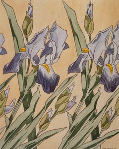 Iris, 1898 tekijältä Koloman Moser