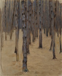 Evangelista un bosc de coníferes a la neu finlandesa Lucas Els quatre evangelistes (títol de la sèrie)