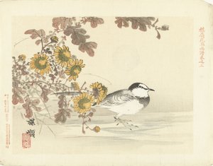 japanilainen wagtail Bairein kukka- ja lintuluonnokset (sarjan nimi) Barei kacho gafu (sarjan nimi esineessä)