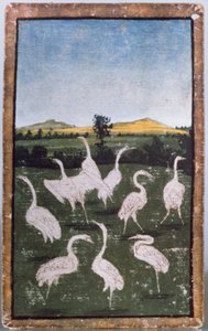 Haikaroita pellolla, yksi pelikorttisarjoista, jotka kuvaavat kohtauksia hoviharrastamisesta, Upper Rhein Area, n. 1440-1445 (kynä ja muste, wc) (katso myös 88300-04) tekijältä Konrad Witz