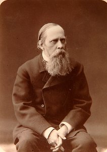 Mihail Saltykov-Shchedrin, venäläinen kirjailija, 1880-luku tekijältä Konstantin Schapiro