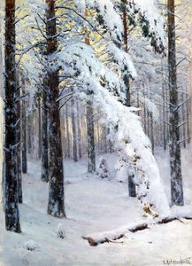 Talvimetsä