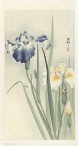 iirikset tekijältä Ohara Koson