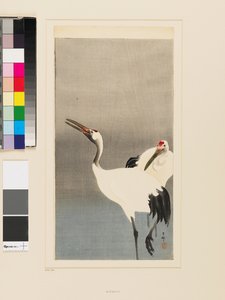 Kaksi japanilaiskurkea kahlaamassa lammessa tekijältä Koson Ohara