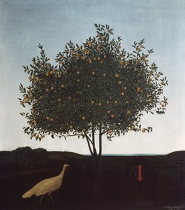 Appelsiinipuu tekijältä Kristofer Sinding-Larsen