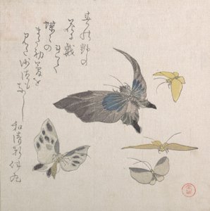 Perhoset, 1800-luku. tekijältä Kubo Shunman