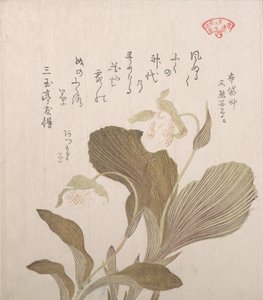 Hotei Flowers, 1800-luku. tekijältä Kubo Shunman