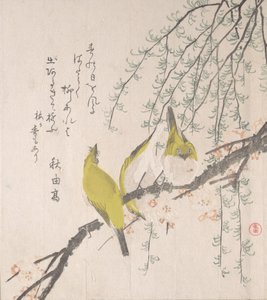 Japanilaiset valkosilmät luumupuun ja pajun kanssa..., n. 1810. tekijältä Kubo Shunman