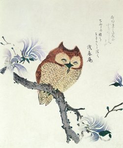 Pöllö Magnolian oksalla (muste ja väri paperille) tekijältä Kubo Shunman