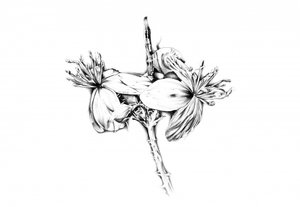  tekijältä Kulik