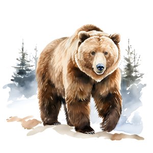 Kaksisataakuudes ja kahdeksaskymmenes kuva on toinen kerta, kun auringonlaskut ohittavat 3
