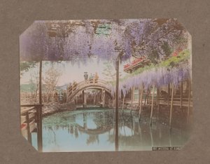 Ihmisiä sillalla, Wisteria kukkii etualalla, Kameidossa, Tokiossa, Japanissa tekijältä Kusakabe Kimbei