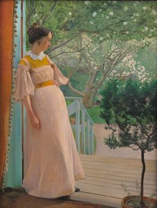 Ranskalaisessa Windowsissa. Taiteilijan vaimo tekijältä Laurits Andersen Ring