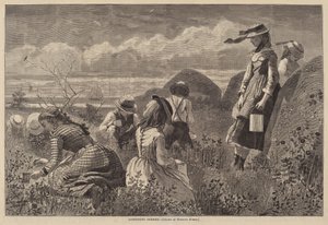 Marjojen kerääminen tekijältä Lagarde after Winslow Homer