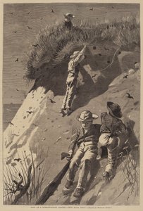 Raid on Sand-Swallow Colony - "Kuinka monta munaa?" tekijältä Lagarde after Winslow Homer