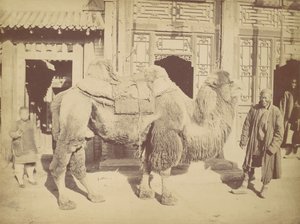 Peking. /. 923, 1867. tekijältä Lai Fong.