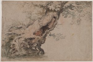 Hollow Tree, Roelant Saveryn mukaan, vuoden 1670 jälkeen.