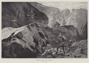 Ptarmigan-ammunta Highlandsissa