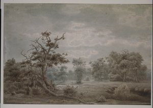 Metsämaisema Düsseldorfista