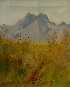 Lomnicky Peak tekijältä Laszlo Mednyanszky