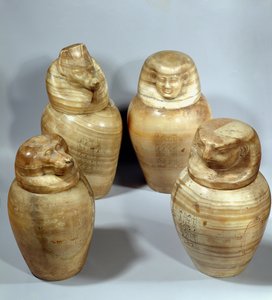 Her-er-a, site (hummeri) katospurkit