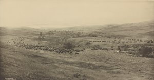 [Heittää Rangersit Roundupiin] tekijältä Laton Alton Huffman
