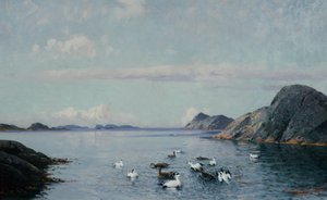 Etelärannikko merilintuineen tekijältä Lauritz Haaland