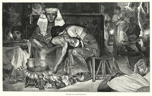 Esikoisen kuolema: viimeinen Egyptin kymmenestä vitsauksesta (litho) tekijältä Lawrence (after) Alma Tadema
