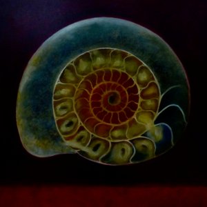 Vihreä Ammonite, 2020 tekijältä Lee Campbell