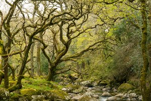 Morning Punch, 2021 (kuva) tekijältä Lee Cooper