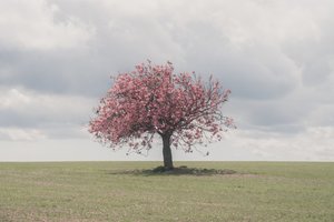 Slumbering Giants, 2025 (kuva) tekijältä Lee Cooper