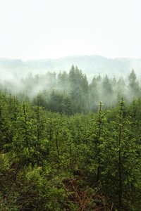 Kevään syvyydet, 2024 (kuva)