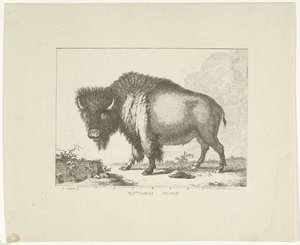 Bison tekijältä Leendert Brasser