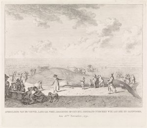 Valas huuhtoutui Zandvoortin rannalle Kuva Vin-Visistä (...) jumissa Wyk aan Zeen ja Zandvoordin välissä, 18. marraskuuta 1791 (otsikko esineessä)