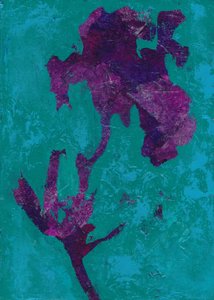 Tiivistelmä: Violetti iiris