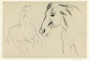 Laukkaa hevonen ja hevosen pää tekijältä Leo Gestel